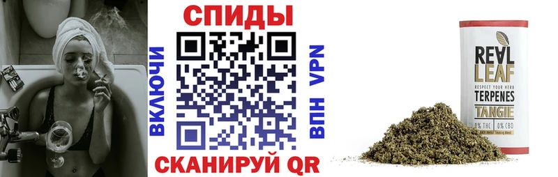 darknet формула  Котельники  Бутират 1.4BDO 