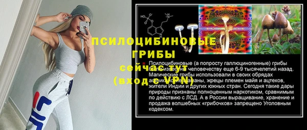 Альфа ПВП Алексеевка