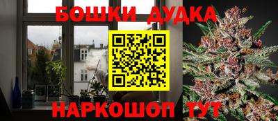мяу мяу мука Кандалакша