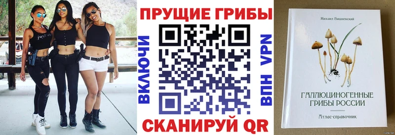 Псилоцибиновые грибы Cubensis MEGA ТОР Котельники
