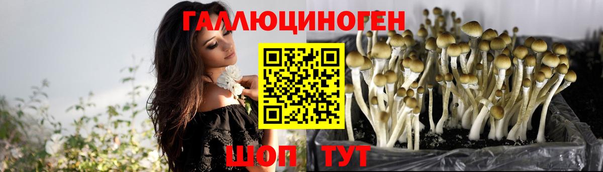 Галлюциногенные грибы MAGIC MUSHROOMS  Вход с VPN  где найти   Котельники 